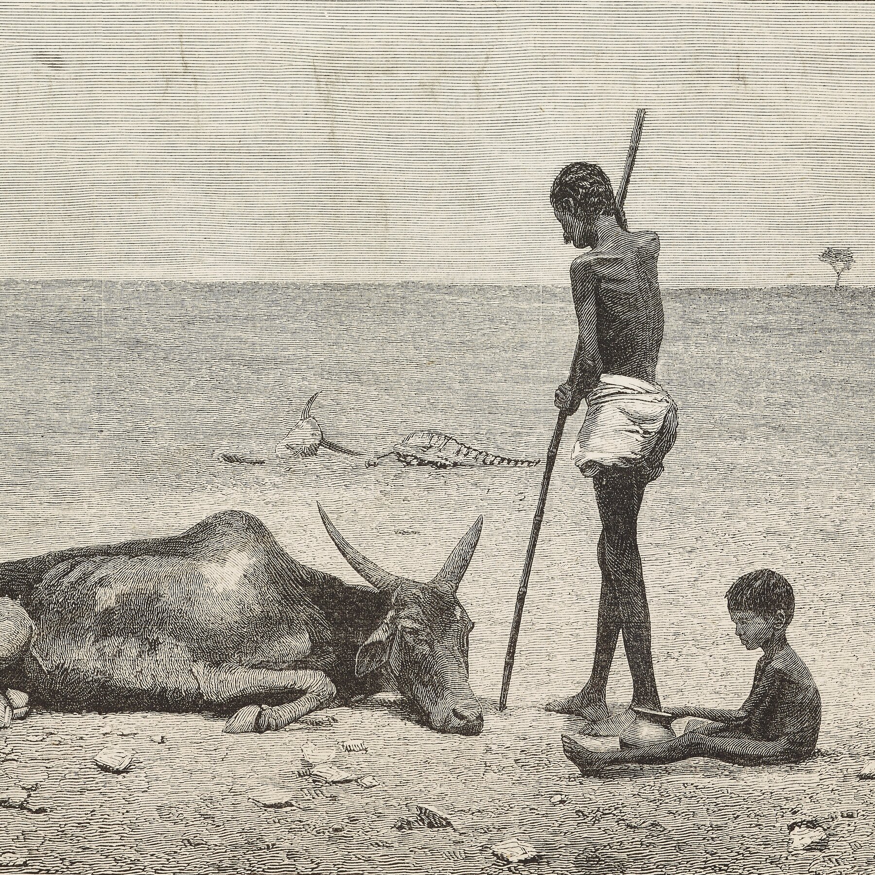 A Powerful El Niño Is Forming. If History Is a Guide, It Could Hit Hard.