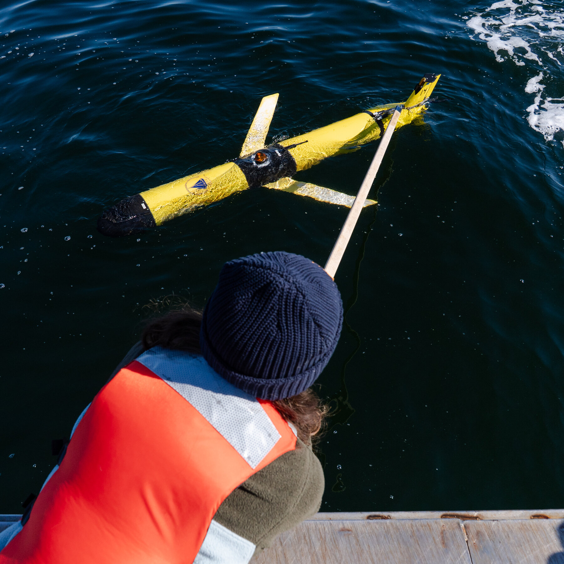 Can New Technology Help Save North Atlantic Right Whales?