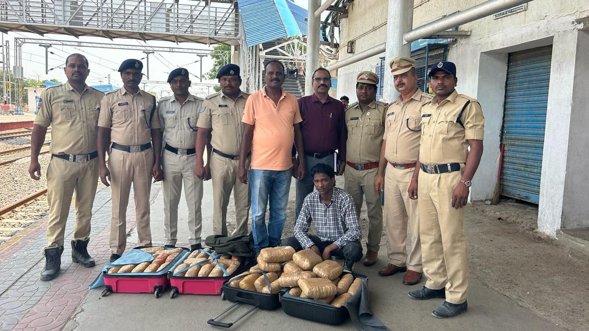 Man held while transporting 48.77 kg ganja in Nagavali Express
