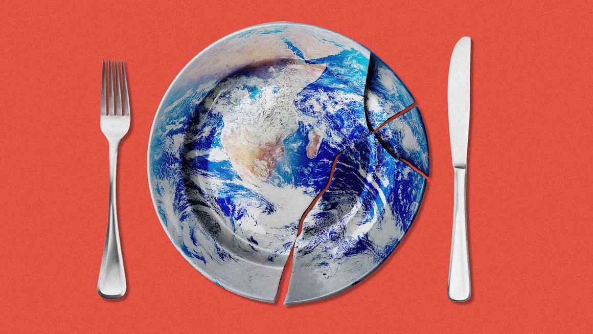 Our dog-eat-dog world order needs a rethink