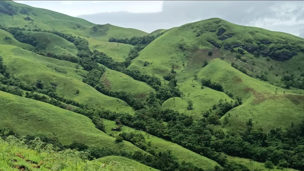 Chikkamagaluru: Bulk booking of trek permits leaves locals angry