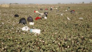 Trump’s trade war has a new target: forced labor. The case behind it is far from simple