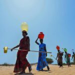 News in Frames | Trickle of freshwater just off the salty sea