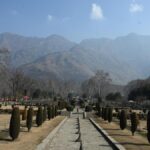 Mughal gardens of Kashmir influenced Taj Mahal, Bagh-e Babur in Kabul: author Jan Haenraets