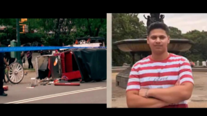 ‘Romanch’s Law’: NYC bill which seeks to ban horse carriages named after Indian teen