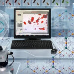 IISc smart molecules could pave way for better sensors, quantum devices