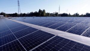 Renewable energy producers look for policy changes from T.N. government