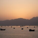 DGS withdraws restriction on the movement of Indian ships in the Strait of Hormuz