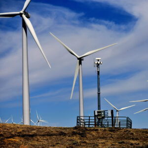 Another Trump Administration Payment to Stop Offshore Wind Farm