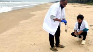 Hypoxia likely killed thousands of fish on Anakapalli coast, says CMFRI study