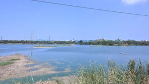 Restore Sathangadu Lake to original extent of 135 acres, remove encroachments on 65 acres: TNIC