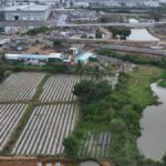 Tales TDS tells: Farmers in Hosur allege chemical discharge from TEPL plant causing low yield