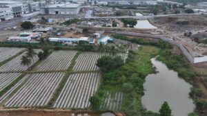 Tales TDS tells: Farmers in Hosur allege chemical discharge from TEPL plant causing low yield