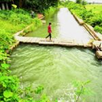 A delayed monsoon, an emerging El Nino and the long shadow of India’s Great Famine