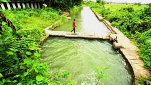 A delayed monsoon, an emerging El Nino and the long shadow of India’s Great Famine