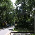 Delhi Gymkhana Club: A battle of public and private rights