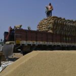 Telangana to tap into global and inter-State export markets to address paddy procurement issues