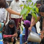 Kristu Jayanti organises tree plantation drive in Bengaluru on World Environment Day 2026
