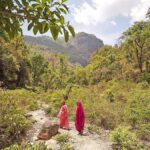 Need to protect forests across country: SC