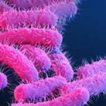 Seven more Shigella cases confirmed in Kerala’s Wayanad