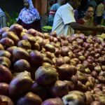 Untimely rains lead to surge in fungal growth on onions