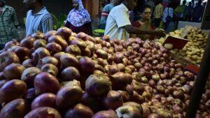 Untimely rains lead to surge in fungal growth on onions