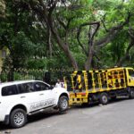 Towing to begin in Jayanagar zone from next week