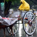 Monsoon tracker LIVE: Delhi sees rain-induced cooling; expected to reduce impact from June 14