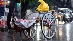 Monsoon tracker LIVE: Delhi sees rain-induced cooling; expected to reduce impact from June 14