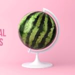 Satellites, procurement, AI: test your business creativity with Edition 235 of our weekly quiz!