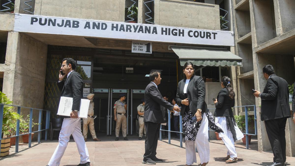HC denies bail to 3 juveniles in sexual assault case, notes blind victim identified them by voice