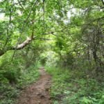 Andhra Pradesh Biodiversity Board plans Statewide rollout of OECMs