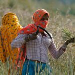 Maharashtra to table ‘Women Farmers Empowerment Bill’ during upcoming Monsoon Session