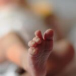 Magistrates should not harp on hypertechnicalities to deny birth affidavits for surrogate babies: Madras High Court