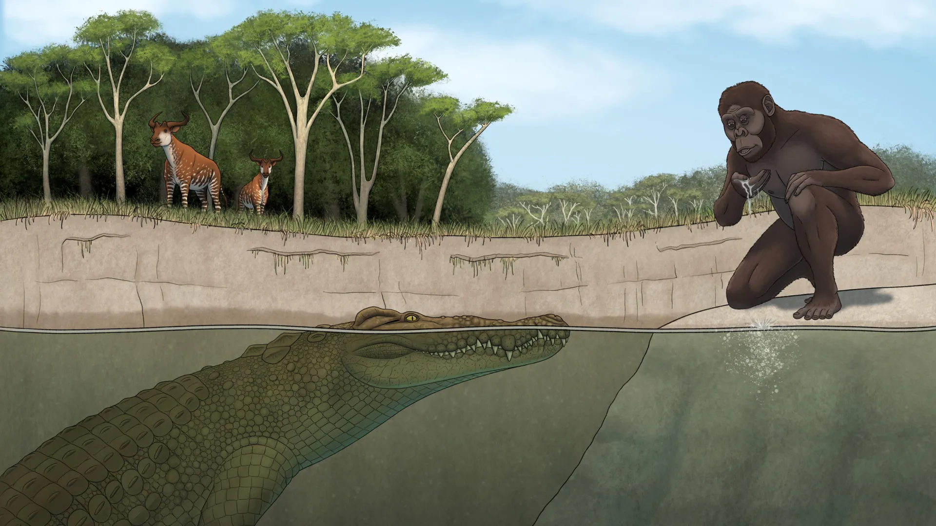 Lucy’s hunter revealed: Giant crocodile terrorized early human ancestors