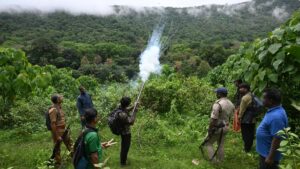 Elephant chasers of Chalakudy are on constant vigil to avoid a ‘conflict’