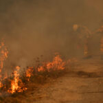 Bordeaux under threat as France and Spain battle ‘unprecedented’ wildfires