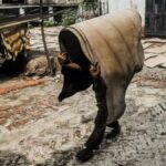 Enforcement of zero-liquid discharge norms in Kanpur tanneries helps curb pollution in Ganga across Uttar Pradesh