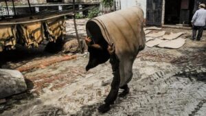 Enforcement of zero-liquid discharge norms in Kanpur tanneries helps curb pollution in Ganga across Uttar Pradesh