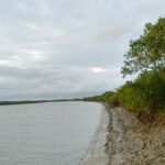 Coast Guard arrests four arms smugglers off Sundarbans
