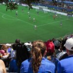 World Cup gave bars and restaurants a needed boost as consumers flash warning signs, Fed says