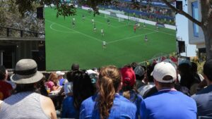 World Cup gave bars and restaurants a needed boost as consumers flash warning signs, Fed says