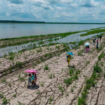 WMO warns of rapid El Nino development during July-September