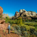 Trump Sharply Cuts the Size of Two National Monuments in Utah
