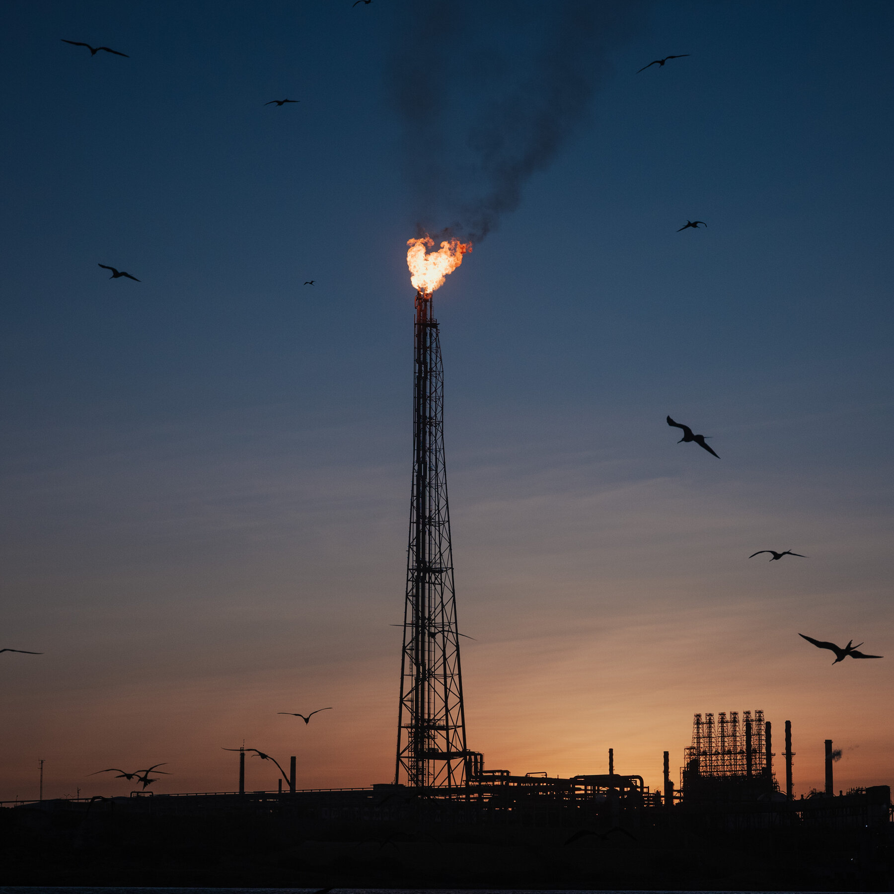 Climate: An extraordinary White House meeting