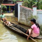 As Assam floodwaters recede, focus on relief for animals
