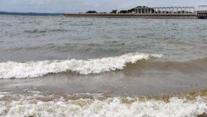 CWRC order: BJP warns against water release to ‘appease’ alliance partner TVK in Tamil Nadu