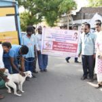 Civic bodies expedite mass vaccination, sterilisation of community dogs in Vellore, Ranipet, Tiruvannamalai