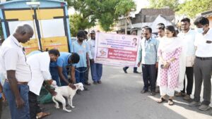 Civic bodies expedite mass vaccination, sterilisation of community dogs in Vellore, Ranipet, Tiruvannamalai