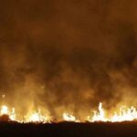 CAQM urges NCR States to deploy drones to monitor stubble burning